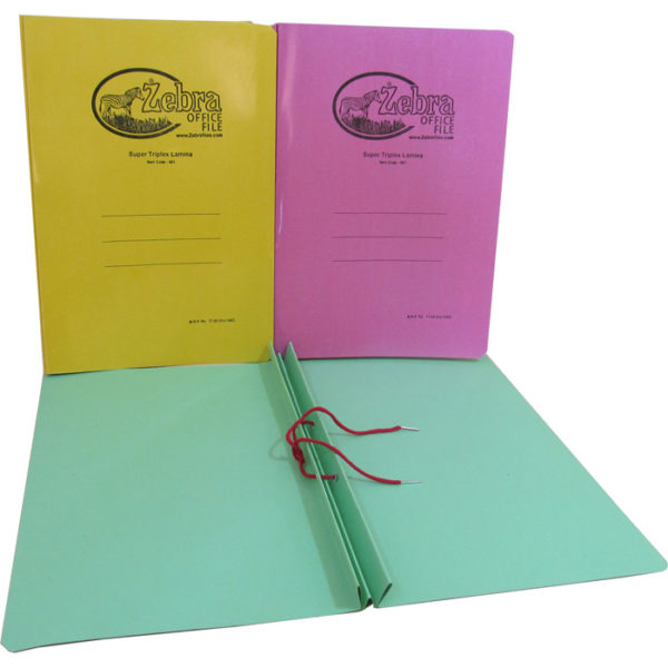 Office Paper Tag files - Pack of 24