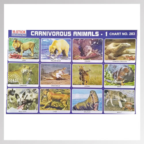 Sticker Carnivorous Animals 1 - Online Stationery Trivandrum