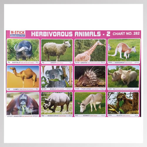 Sticker Herbivorous Animals 2 - Online Stationery Trivandrum