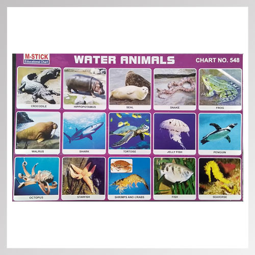 Sticker Water Animals - Online Stationery Trivandrum